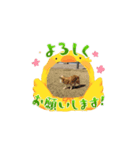 備後弁おやじの家族（個別スタンプ：3）