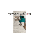 備後弁おやじの家族（個別スタンプ：5）
