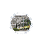 備後弁おやじの家族（個別スタンプ：8）