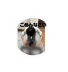 ティンム友達 2（個別スタンプ：1）