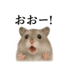 【叫ぶ！】リアルすぎるハムスターの絶叫（個別スタンプ：16）