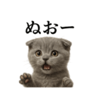 【叫ぶ！】子猫スコティッシュホールド絶叫（個別スタンプ：14）