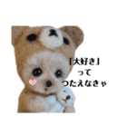 可愛いヨーキーちゃんのスタンプです。（個別スタンプ：5）