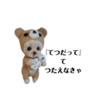 可愛いヨーキーちゃんのスタンプです。（個別スタンプ：13）