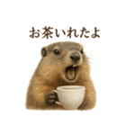 【癒し】リアルすぎるマーモットカフェ（個別スタンプ：9）