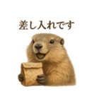【癒し】リアルすぎるマーモットカフェ（個別スタンプ：10）