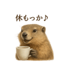 【癒し】リアルすぎるマーモットカフェ（個別スタンプ：12）