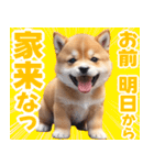 可愛く煽る柴犬☆茶色（個別スタンプ：2）