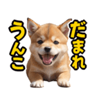 可愛く煽る柴犬☆茶色（個別スタンプ：5）