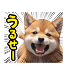 可愛く煽る柴犬☆茶色（個別スタンプ：7）