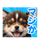 可愛く煽る柴犬☆茶色（個別スタンプ：11）