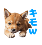 可愛く煽る柴犬☆茶色（個別スタンプ：16）
