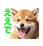 可愛く煽る柴犬☆茶色（個別スタンプ：22）
