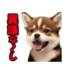 可愛く煽る柴犬☆茶色（個別スタンプ：27）