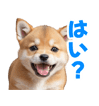 可愛く煽る柴犬☆茶色（個別スタンプ：28）