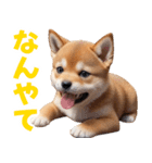 可愛く煽る柴犬☆茶色（個別スタンプ：31）
