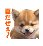 可愛く煽る柴犬☆茶色（個別スタンプ：35）