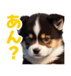 可愛く煽る柴犬☆茶色（個別スタンプ：39）