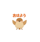 ことりすたんぷ · 言葉だより（個別スタンプ：1）