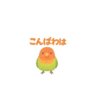 ことりすたんぷ · 言葉だより（個別スタンプ：3）