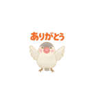 ことりすたんぷ · 言葉だより（個別スタンプ：5）