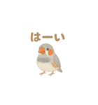 ことりすたんぷ · 言葉だより（個別スタンプ：7）