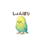 ことりすたんぷ · 言葉だより（個別スタンプ：14）