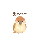 ことりすたんぷ · 言葉だより（個別スタンプ：15）