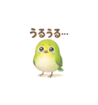 ことりすたんぷ · 言葉だより（個別スタンプ：18）