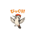 ことりすたんぷ · 言葉だより（個別スタンプ：20）