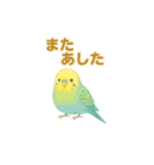 ことりすたんぷ · 言葉だより（個別スタンプ：21）