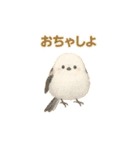 ことりすたんぷ · 言葉だより（個別スタンプ：22）