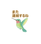 ことりすたんぷ · 言葉だより（個別スタンプ：23）