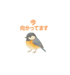 ことりすたんぷ · 言葉だより（個別スタンプ：26）
