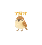 ことりすたんぷ · 言葉だより（個別スタンプ：27）