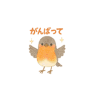ことりすたんぷ · 言葉だより（個別スタンプ：30）