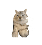 まりゅ！！（個別スタンプ：2）
