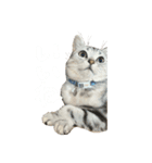 まりゅ！！（個別スタンプ：3）
