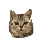 まりゅ！！（個別スタンプ：10）