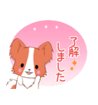 飛び出す！ちびパピヨン17【敬語】（個別スタンプ：5）