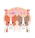飛び出す！ちびパピヨン17【敬語】（個別スタンプ：7）