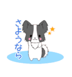 飛び出す！ちびパピヨン17【敬語】（個別スタンプ：19）