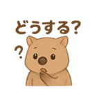 ウォンバットの日常トーク【毎日使える】（個別スタンプ：8）