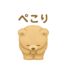 毎日使える！ふわふわクマの会話スタンプ（個別スタンプ：8）