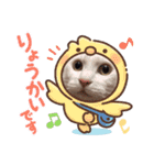 先住猫と愉快な保護猫達①（個別スタンプ：8）