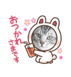 先住猫と愉快な保護猫達①（個別スタンプ：16）