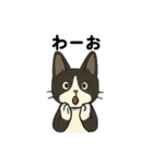 くるみスタンプAI（個別スタンプ：10）