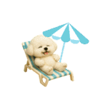 ぬいぐるみビションフリーゼ -夏-（個別スタンプ：15）