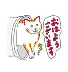 Newにゃ〜ズ（個別スタンプ：24）