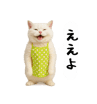 お猫様の吹き出しスタンプ3（個別スタンプ：1）